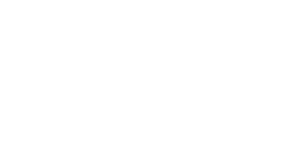 Alexander Nævdal Logo